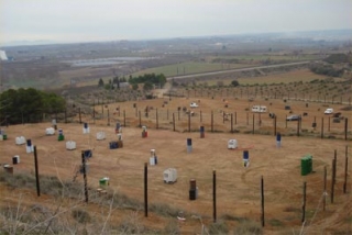 pista de paintball